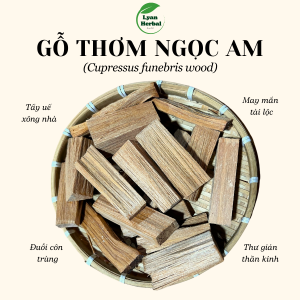 Thanh Gỗ Ngọc Am ( gỗ Hoàng Đàn) thơm dể chịu thần kinh, đốt xông thanh tẩy hương tự nhiên nồng ấm