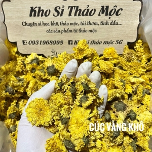 CÚC VÀNG KHÔ 