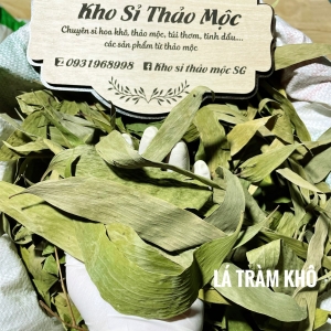 LÁ TRÀM KHÔ 