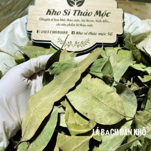 LÁ BẠCH ĐÀN KHÔ 