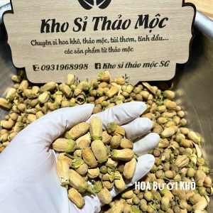 HOA BƯỞI KHÔ 
