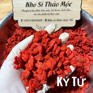 KỶ TỬ 
