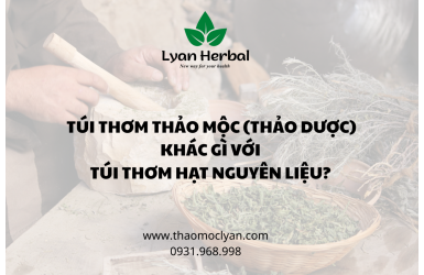 TÚI THƠM THẢO MỘC (THẢO DƯỢC) KHÁC GÌ VỚI TÚI THƠM HẠT NGUYÊN LIỆU?
