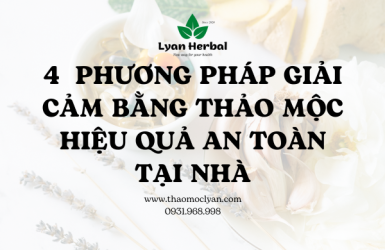 4  PHƯƠNG PHÁP GIẢI CẢM BẰNG THẢO MỘC HIỆU QUẢ AN TOÀN TẠI NHÀ