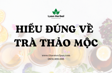 TÌM HIỂU VỀ TRÀ THẢO MỘC