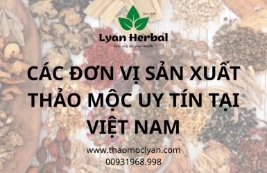 CÁC ĐƠN VỊ SẢN XUẤT THẢO MỘC UY TÍN TẠI VIỆT NAM