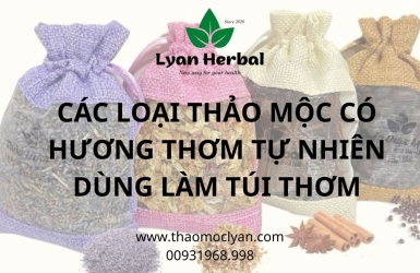 CÁC LOẠI THẢO MỘC CÓ HƯƠNG THƠM TỰ NHIÊN DÙNG LÀM TÚI THƠM