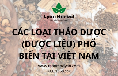 CÁC LOẠI THẢO DƯỢC (DƯỢC LIỆU) PHỔ BIẾN TẠI VIỆT NAM