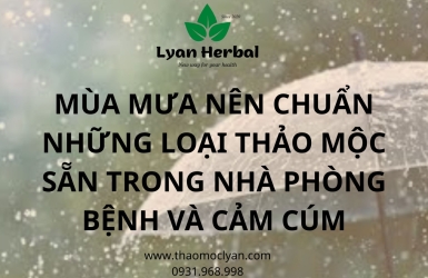 MÙA MƯA NÊN CHUẨN NHỮNG LOẠI THẢO MỘC SẴN TRONG NHÀ PHÒNG BỆNH VÀ CẢM CÚM