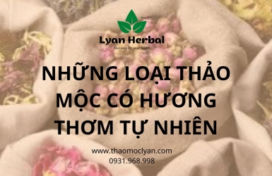 NHỮNG LOẠI THẢO MỘC CÓ HƯƠNG THƠM TỰ NHIÊN