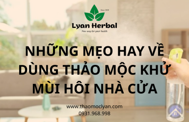 NHỮNG MẸO HAY VỀ DÙNG THẢO MỘC KHỬ MÙI HÔI NHÀ CỬA