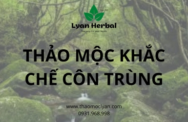 THẢO MỘC KHẮC CHẾ CÔN TRÙNG