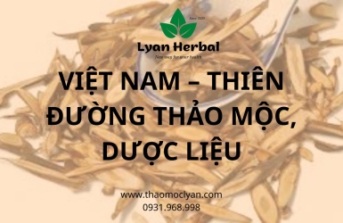 VIỆT NAM – THIÊN ĐƯỜNG THẢO MỘC, DƯỢC LIỆU