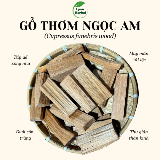 Thanh Gỗ Ngọc Am ( gỗ Hoàng Đàn) thơm dể chịu thần kinh, đốt xông thanh tẩy hương tự nhiên nồng ấm