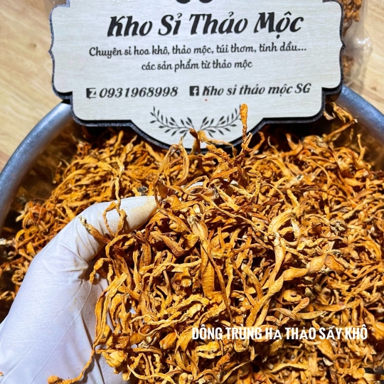 ĐÔNG TRNGF HẠ THẢO SẤY KHÔ 