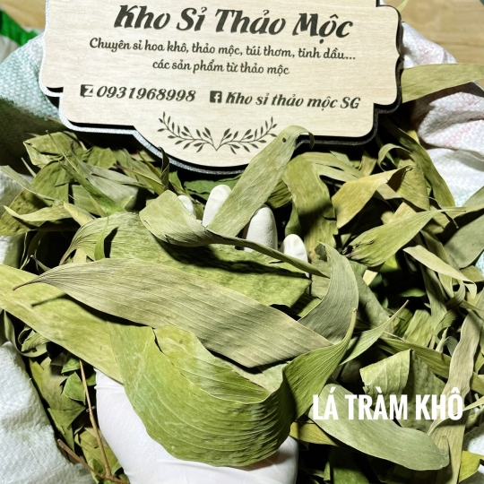 LÁ TRÀM KHÔ 