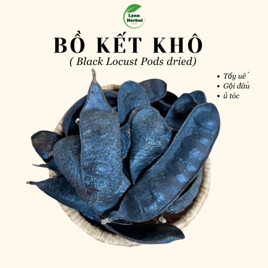 Bồ Kết khô nguyên trái đốt xông nhà tẩy uế trừ tà xả xui phong thủy