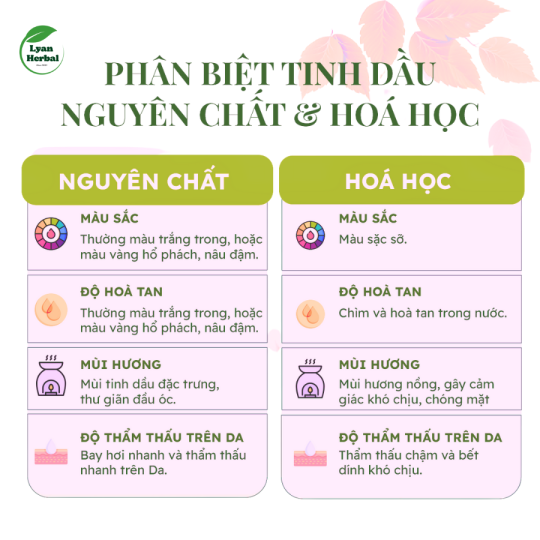 Tinh dầu hoa hồng 15ml (rose essential oils) tinh dầu thiên nhiên cho máy xông khử mùi thư giản tinh thần