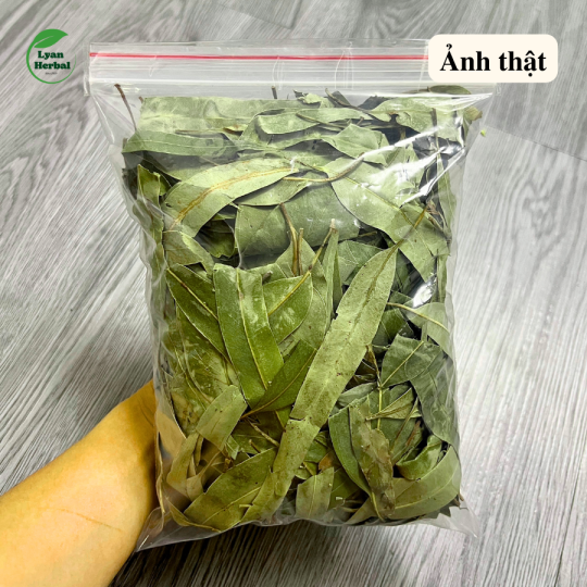 Lá Bạch Đàn Khô (Eucalyptus leaves dried) hàng chuẩn mộc không hóa chất