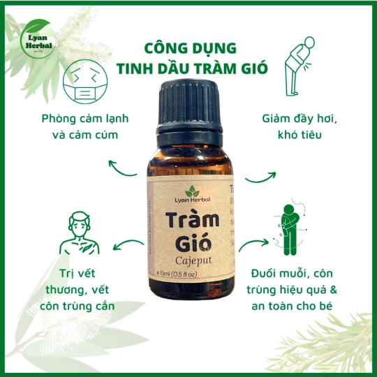 Tinh Dầu Tràm Gió ( Cajeput Essential Oil) 15ml, Tinh Dầu Thiên Nhiên cam kết đúng mùi