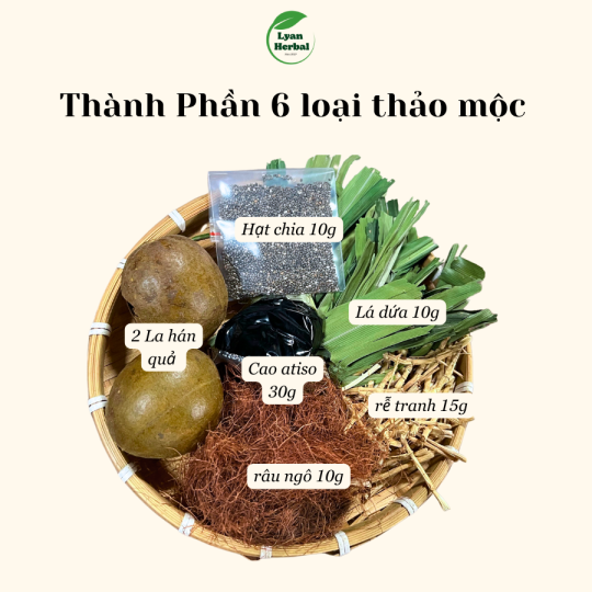 Sâm Atiso hạt chia mát gan 6 vị thảo mộc giúp mát gan thải độc gan, đẹp da, giảm mỡ, giảm mụn, thanh nhiệt ngày hè