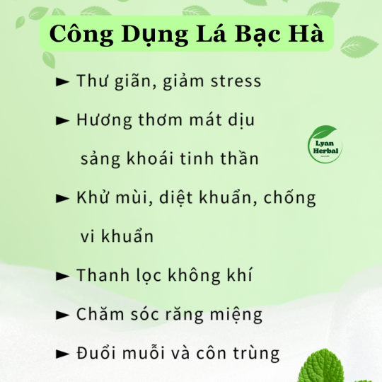 Túi thơm Bạc Hà thơm tự nhiên khử mùi hôi xe ô tô, treo thơm tủ quần áo hương thơm dịu nhẹ an toàn cho sức khỏe