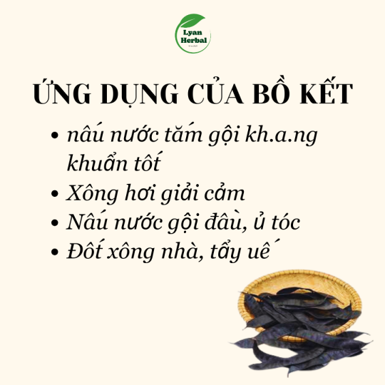 Bồ Kết khô nguyên trái đốt xông nhà tẩy uế trừ tà xả xui phong thủy