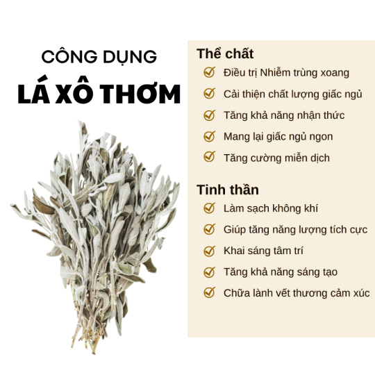 Lá Xô thơm cắt nhỏ 1Kg ( Sage) gia vị hương thơm thanh tẩy năng lượng thần kinh tỉnh táo