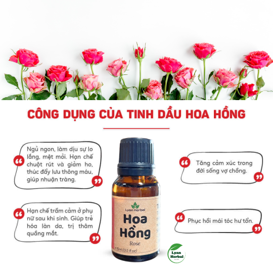 Tinh dầu hoa hồng 15ml (rose essential oils) tinh dầu thiên nhiên cho máy xông khử mùi thư giản tinh thần