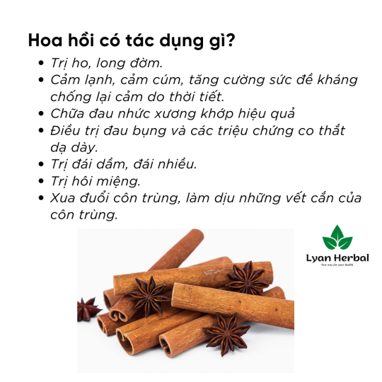 Hoa Hồi khô (Túi 1Kg) Đại Hồi gia vị nấu phở bò, nấu ăn, nấu thuốc Bắc...