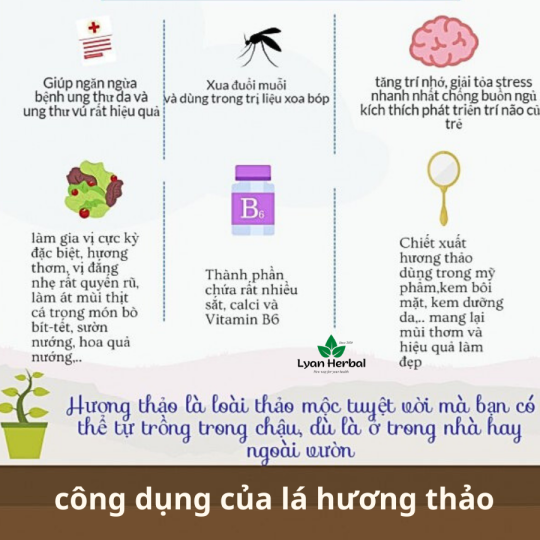 Lá Hương Thảo sấy khô ( 1Kg)  đã tách cành dùng nấu ăn, ướp thịt nướng, nấu nước ủ tóc dưỡng tóc