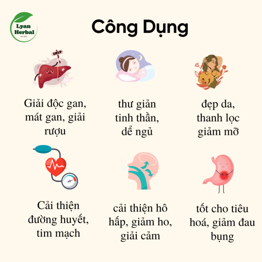 Trà "Thanh Nhiệt" Gạo rang hoa Cúc Nụ Nhài thảo mộc giúp ngủ ngon, thải độc gan, mát gan, giảm mỡ