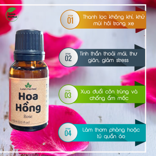Tinh dầu hoa hồng 15ml (rose essential oils) tinh dầu thiên nhiên cho máy xông khử mùi thư giản tinh thần