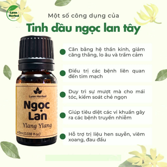 Tinh Dầu Hoa Ngọc Lan Tây - Hoàng Lan ( Ylang Ylang Essential Oil) 15ml, Tinh Dầu Thiên Nhiên cam kết đúng mùi