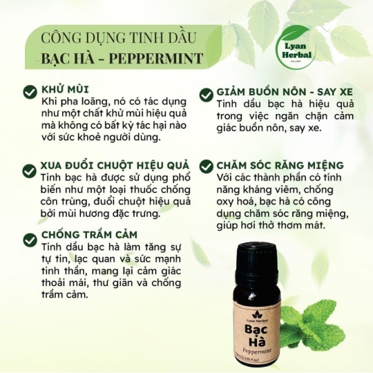 Tinh Dầu Bạc Hà (Peppermint Essential Oil) 15ml, Tinh Dầu Thiên Nhiên cam kết đúng mùi