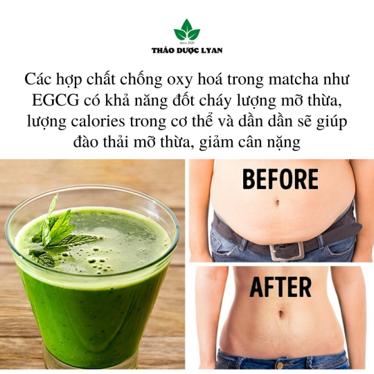 Bột trà xanh nguyên chất đắp mặt dưỡng da giảm thâm mụn, giảm thâm mắt -1kg