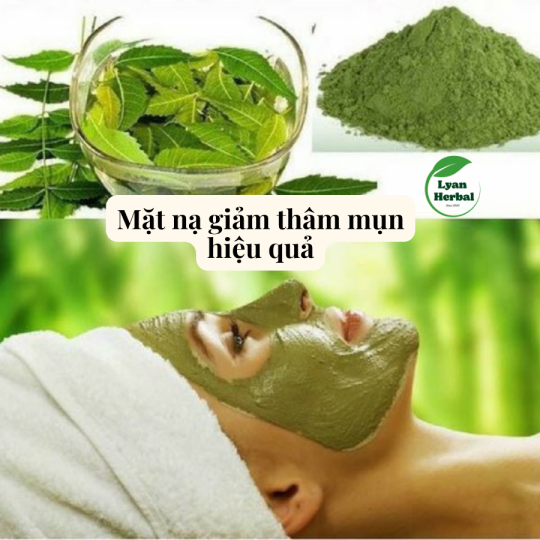Bột Lá Nem Ấn Độ bột thiên nhiên dùng làm mặt mạ chăm sóc da mặt, tẩy tế bào chết, giảm mụn, giảm thâm dưỡng da