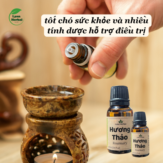 Tinh dầu Hương Thảo 15ml (rosemary) thiên nhiên xông phòng khử mùi thư giản dể ngủ, đuỗi muỗi, dùng cho spa, xông hơi