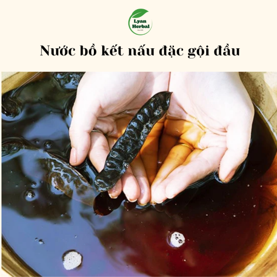 Bồ Kết khô nguyên trái đốt xông nhà tẩy uế trừ tà xả xui phong thủy
