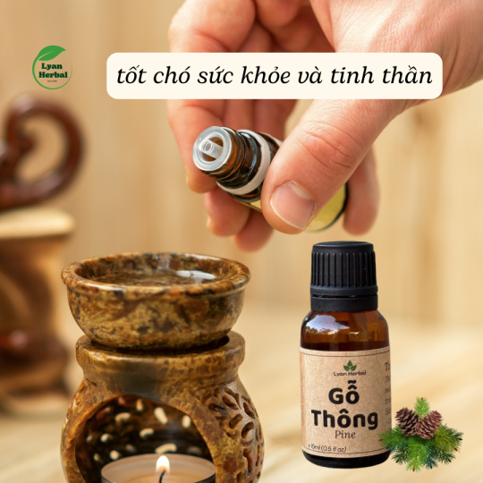 Tinh Dầu Gỗ Thông (Pine) 15ml, Tinh Dầu Thiên Nhiên cam kết đúng mùi tự nhiên