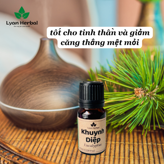 Tinh Dầu Khuynh Diệp ( Eucalyptus Essential Oil) 15ml, Tinh Dầu Thiên Nhiên Cam Kết Đúng Mùi