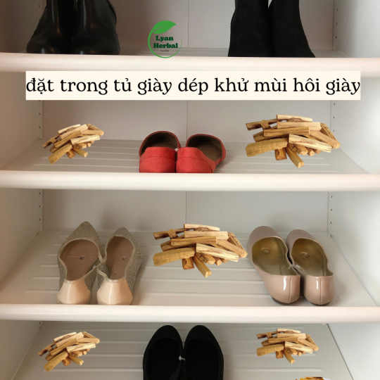 Thanh Gỗ Ngọc Am ( gỗ Hoàng Đàn) thơm dể chịu thần kinh, đốt xông thanh tẩy hương tự nhiên nồng ấm