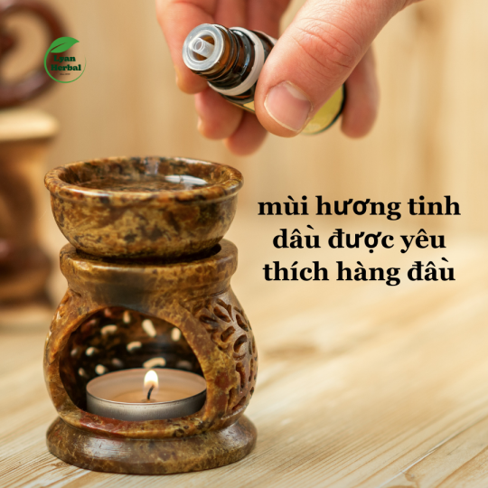 Tinh Dầu Hoa Ngọc Lan Tây - Hoàng Lan ( Ylang Ylang Essential Oil) 15ml, Tinh Dầu Thiên Nhiên cam kết đúng mùi