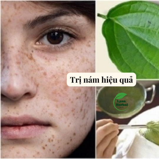 Bột Lá trầu không bột thiên nhiên dùng làm mặt mạ chăm sóc da mặt, tẩy tế bào chết, giảm mụn, giảm thâm dưỡng da- 1kg