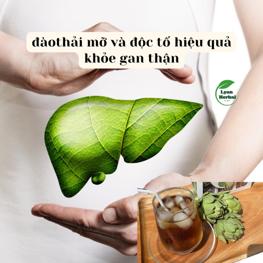 Sâm Atiso hạt chia mát gan 6 vị thảo mộc giúp mát gan thải độc gan, đẹp da, giảm mỡ, giảm mụn, thanh nhiệt ngày hè