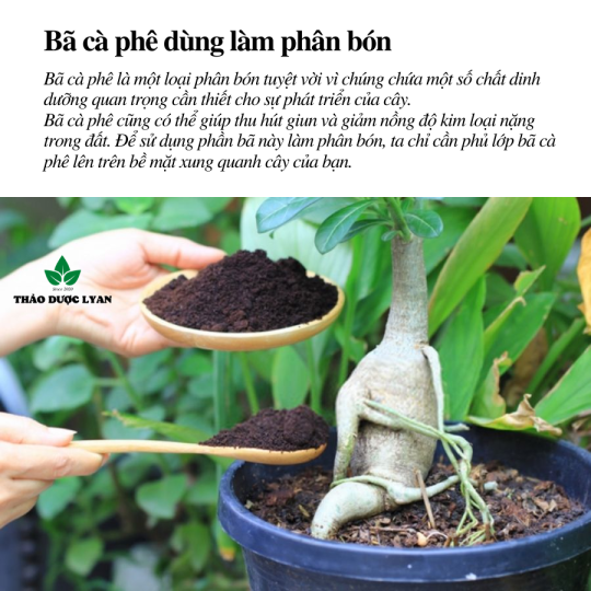 Bột Cà Phê mịn nguyên chất tẩy tế bào chết dưỡng da -1kg