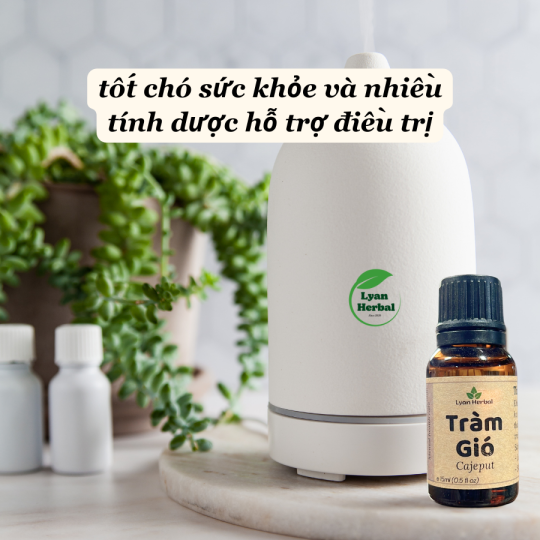 Tinh Dầu Tràm Gió ( Cajeput Essential Oil) 15ml, Tinh Dầu Thiên Nhiên cam kết đúng mùi