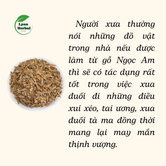 Thanh Gỗ Ngọc Am ( gỗ Hoàng Đàn) thơm dể chịu thần kinh, đốt xông thanh tẩy hương tự nhiên nồng ấm
