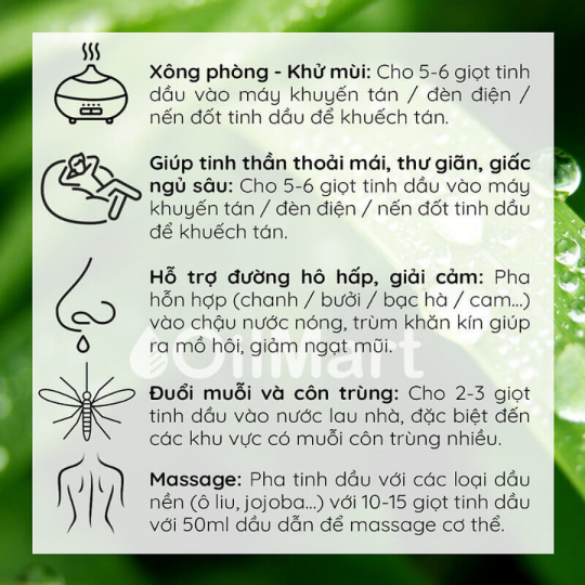 Tinh Dầu Bạc Hà (Peppermint Essential Oil) 15ml, Tinh Dầu Thiên Nhiên cam kết đúng mùi