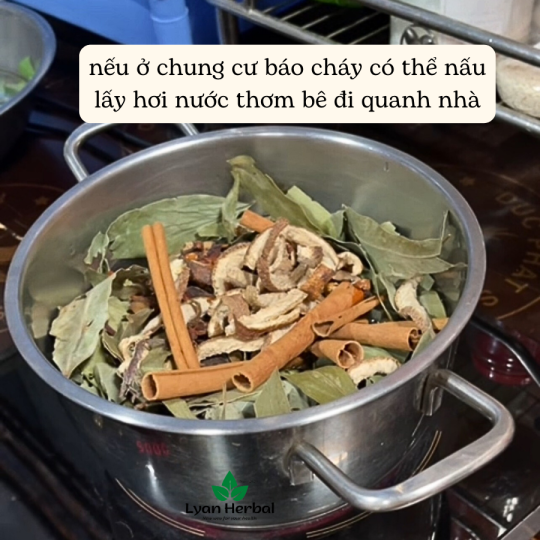 Combo "Xông nhà tiện dụng" phong thủy xả phong long, trừ tà khí khử uế thông quan, nấu nước lau bàn thờ bao sái
